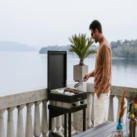 images/grillapparatuur/galerij/VSMC_BV_BBQ_grill_trolley.jpg